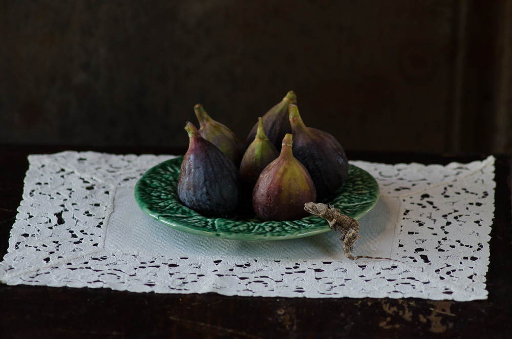Summer Figs ©Catherine Andrako